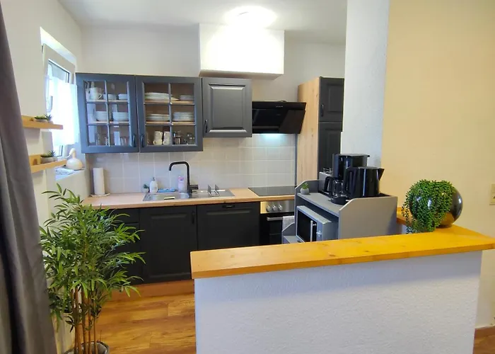 Large - Modern & Fully Equipped - Near Fair Lejlighed Köln